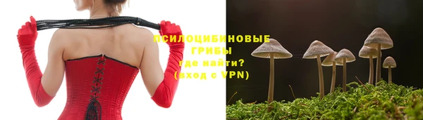 a pvp Алексин
