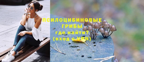 дурь Алзамай